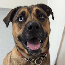 Thumbnail photo of Marin #1