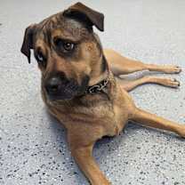 Thumbnail photo of Marin #2