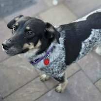 Thumbnail photo of Bianca #3