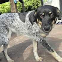 Thumbnail photo of Bianca #4