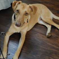 Thumbnail photo of Bubble Gum #3