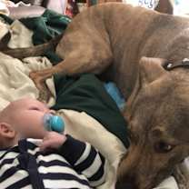 Thumbnail photo of Finn #4