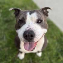 Thumbnail photo of Popeye #1