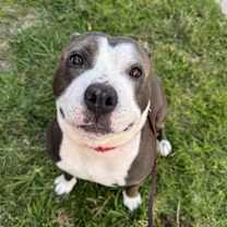 Thumbnail photo of Popeye #3