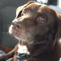 Thumbnail photo of Montie CP #2