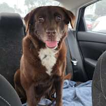 Thumbnail photo of Montie CP #4