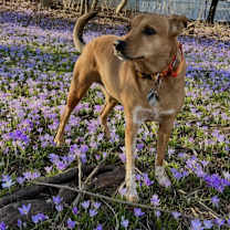 Thumbnail photo of Pam #1