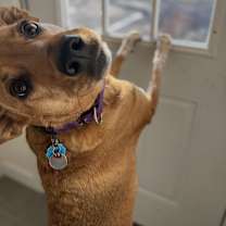 Thumbnail photo of Pam #2