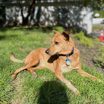 Thumbnail photo of Pam #3