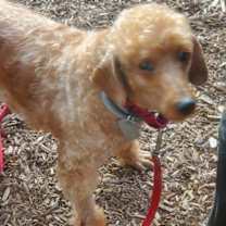 Thumbnail photo of Tuesday #2