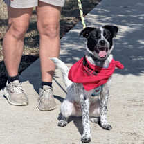 Thumbnail photo of Enzo #2