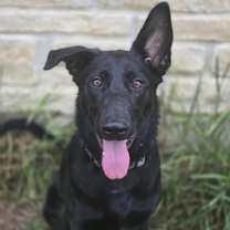 Thumbnail photo of Milano #4