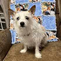 Thumbnail photo of Bella~ #1