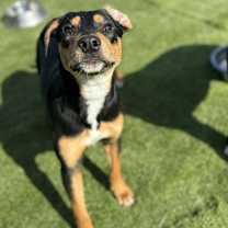 Thumbnail photo of Nyla #4