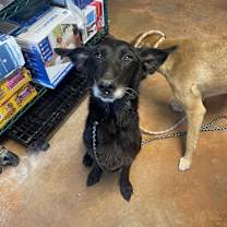 Thumbnail photo of Kendall #3