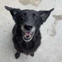 Thumbnail photo of Kendall #2