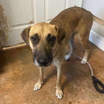 Thumbnail photo of Kylie #2