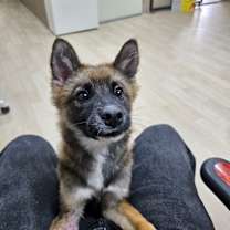 Thumbnail photo of Roca #1