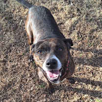 Thumbnail photo of Candy #2