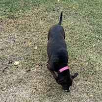 Thumbnail photo of Candy #3