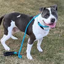 Thumbnail photo of Thanos #1