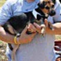 Thumbnail photo of Oliver #1