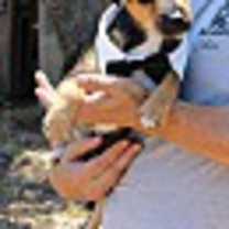 Thumbnail photo of Oliver #2