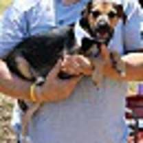 Thumbnail photo of Oliver #3