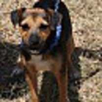 Thumbnail photo of Oliver #4