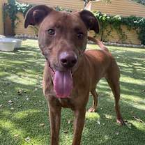 Thumbnail photo of Ruger #3