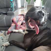 Thumbnail photo of Luna #4