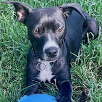 Thumbnail photo of Oliver #4