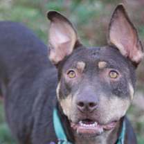 Thumbnail photo of Mei #1