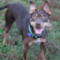 Thumbnail photo of Mei #2