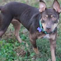 Thumbnail photo of Mei #3