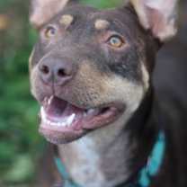 Thumbnail photo of Mei #4