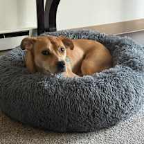 Thumbnail photo of Freddie #3