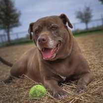 Thumbnail photo of Coco #2