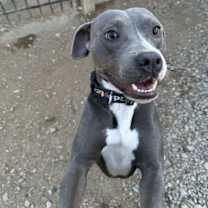 Thumbnail photo of Tilla #1