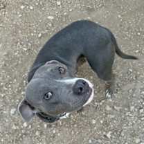 Thumbnail photo of Tilla #2