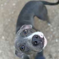 Thumbnail photo of Tilla #3