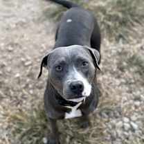 Thumbnail photo of Tilla #4