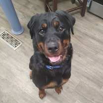 Thumbnail photo of IMA #1