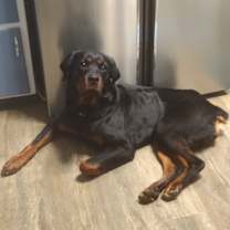 Thumbnail photo of IMA #3