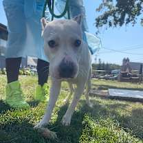 Thumbnail photo of Murray #2