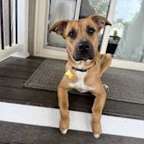 Thumbnail photo of Nova Scotia #1