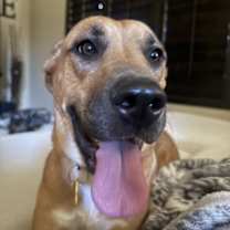 Thumbnail photo of Nova Scotia #2