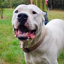 Thumbnail photo of Roo #1