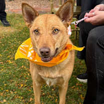 Thumbnail photo of Blush #3