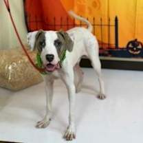 Thumbnail photo of Harold #1